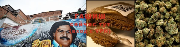 ПСИЛОЦИБИНОВЫЕ ГРИБЫ Армянск