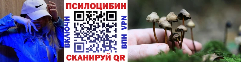 Купить закладки  Серафимович  Галлюциногенные грибы мицелий 